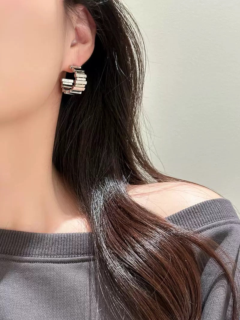 M106-Fashion earrings