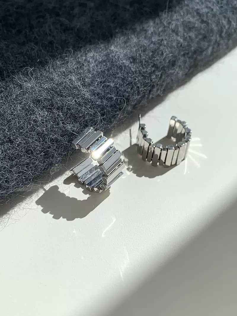 M106-Fashion earrings