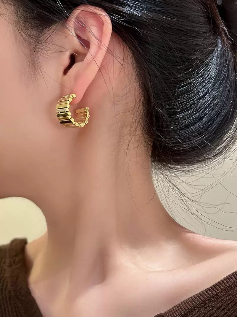 M106-Fashion earrings